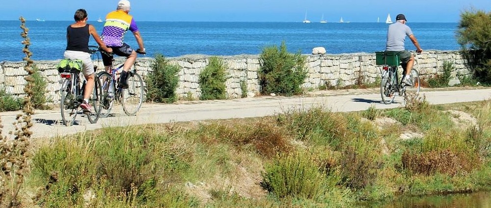 Ile de Ré à vélo