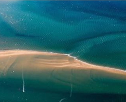 Le banc du Bûcheron
