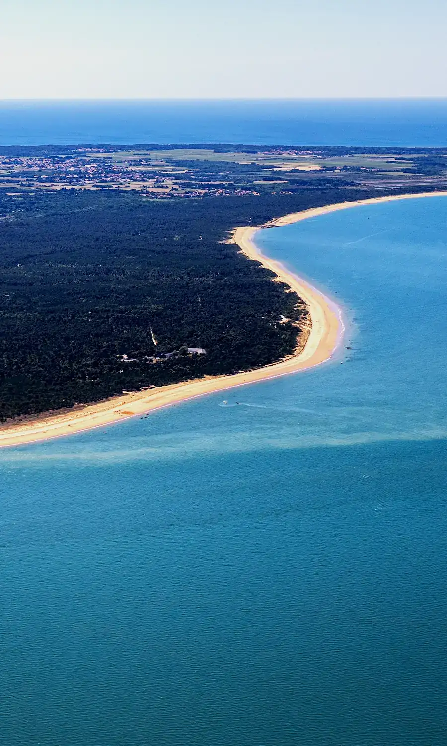 Vue aérienne de l'Île de Ré, forêt de pins, plage et océan